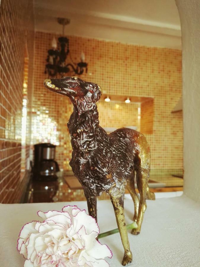 Estudio Jazmin Apartament